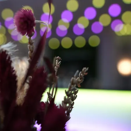 Boutique Kaiser - & Apart-hotel Frankfurt am Main